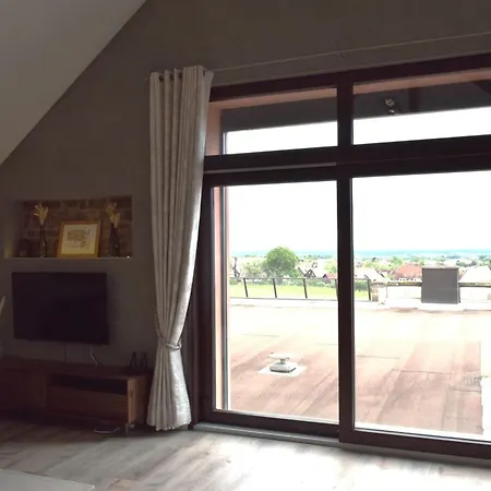 Apartment Au Coeur Des Vignes Ribeauville (Haut-Rhin)