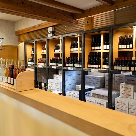 Apartment Au Coeur Des Vignes
